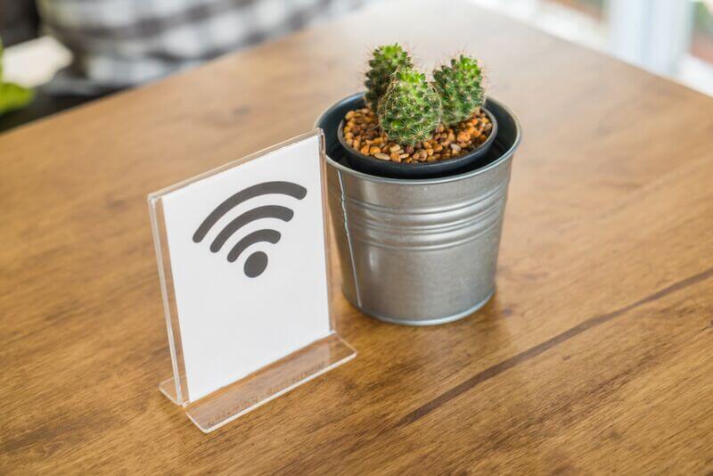 Pot with cactus and a wifi signal